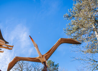 Région. Dino-Zoo lance sa saison d’été avec une nouvelle attraction et des animations inédites Attraction du dino-zoo à Étalans