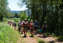 Randonneurs lors d'une balade
