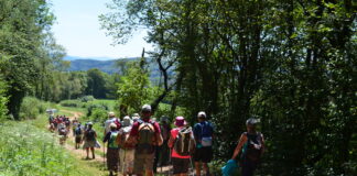 Randonneurs lors d'une balade