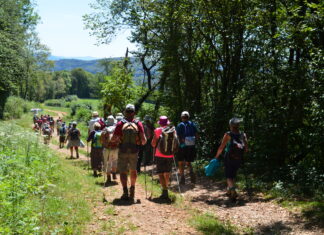 Découverte. Boucle de randonnée pédestre de Gigny Randonneurs lors d'une balade