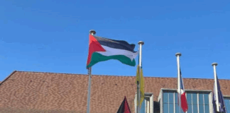 drapeau palestine