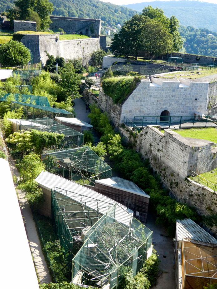 Besançon. Parc zoologique de la Citadelle citadelle de Besançon