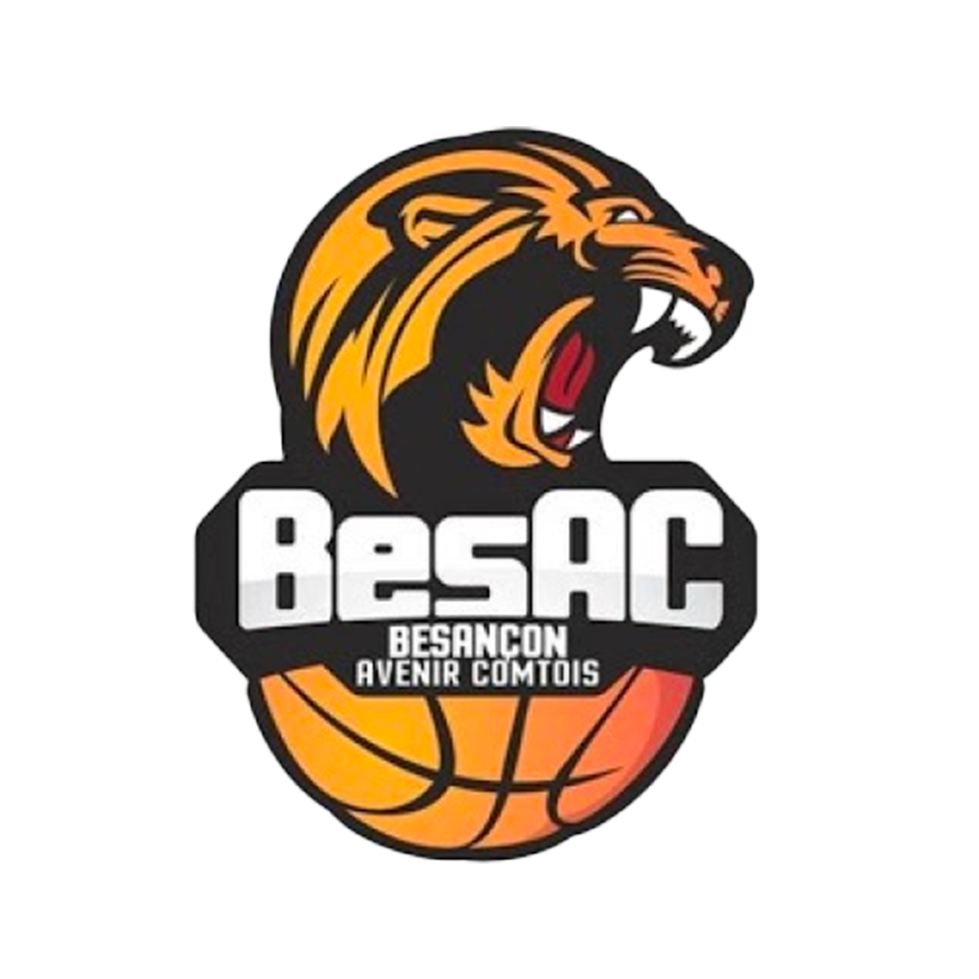Besac Basket Logo