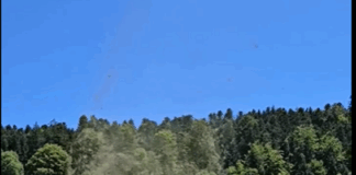Du foin qui s'envole dans les airs