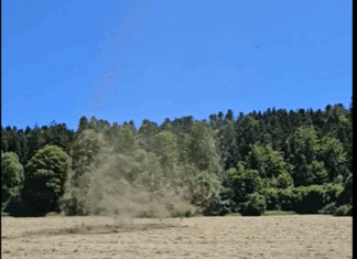 Du foin qui s'envole dans les airs