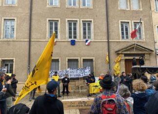 Manifestant s'opposant à la loi Duplomb à Pontarlier