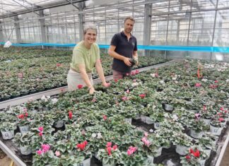 équipe Courbet Horticulture