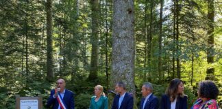 Baptême du sapin président du Touillon-et-Loutelet avec les élus
