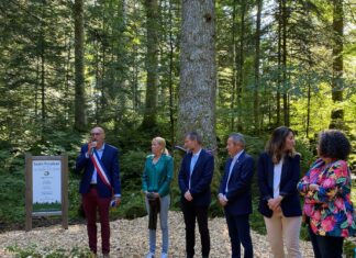 Baptême du sapin président du Touillon-et-Loutelet avec les élus