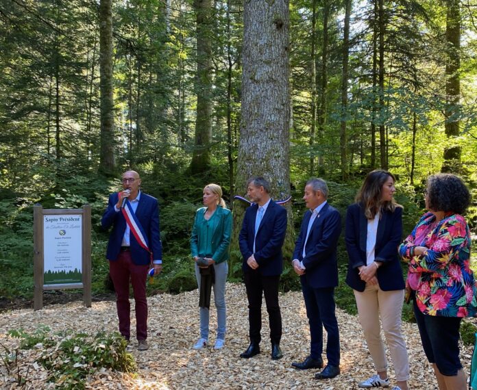 Sapin président Touillon-et-Loutelet Baptême du sapin président du Touillon-et-Loutelet avec les élus