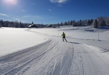 Le site nordique de la Perdrix