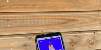 application Reezet