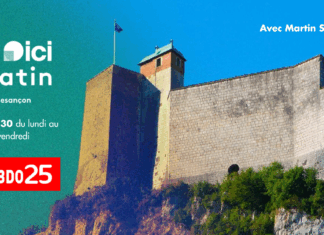 Martin Saussard Interview