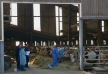 La ministre de l'Agriculture qui assiste à la vaccination