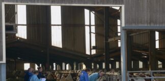Franche-Comté. Dermatose nodulaire : un 5ᵉ foyer confirmé dans le Jura, nouvel abattage et règles sanitaires prolongées La ministre de l'Agriculture qui assiste à la vaccination