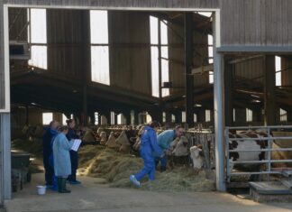 Franche-Comté. Dermatose nodulaire : un 5ᵉ foyer confirmé dans le Jura, nouvel abattage et règles sanitaires prolongées La ministre de l'Agriculture qui assiste à la vaccination