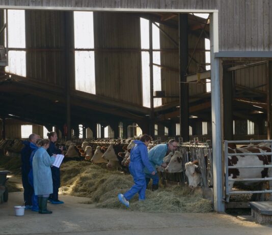 Doubs. Dermatose nodulaire contagieuse : les manquements de l’État La ministre de l'Agriculture qui assiste à la vaccination