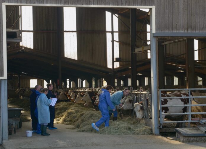 Annie Genevard DNC Chaussenans Jura La ministre de l'Agriculture qui assiste à la vaccination