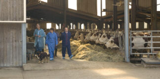 Franche-Comté. Dermatose nodulaire : « Il nous faut éradiquer la maladie, et non la contrôler » Annie Genevard était en déplacement au GAEC de l'Espoir à Chaussenans dans le Jura