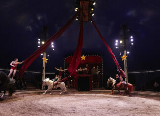 Le cirque équestre Pagnozzo