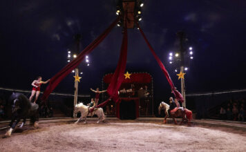 Besançon. La compagnie Pagnozzo s’installe à Planoise Le cirque équestre Pagnozzo