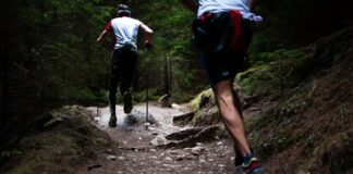 Haut-Doubs. Le Ski-Club des Fourgs ouvre sa section trail Trail en compétition