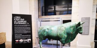 taureau d’Avrigney à Besançon