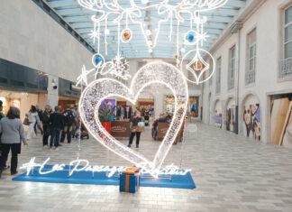 Les Passages Pasteur à Besançon