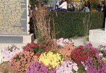 Besançon. 11 novembre aux Glacis sous le soleil armistice besançon