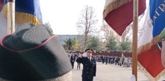 11 Novembre élus communication électorale