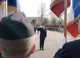 11 Novembre élus communication électorale