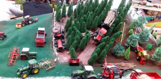 Salon des miniatures agricoles