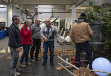 Roland Haas, président de l’Association des tourneurs de Franche-Comté