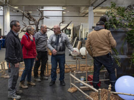 Roland Haas, président de l’Association des tourneurs de Franche-Comté