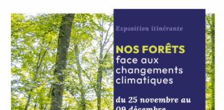 Expositions Itinérantes Nos Forets