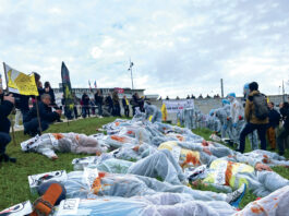 Représentation de la Dermatose Nodulaire