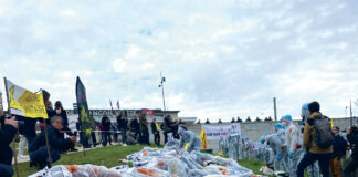 Le Dossier. Dermatose nodulaire contagieuse : la grande incompréhension Représentation de la Dermatose Nodulaire