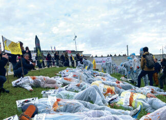 Le Dossier. Dermatose nodulaire contagieuse : la grande incompréhension Représentation de la Dermatose Nodulaire