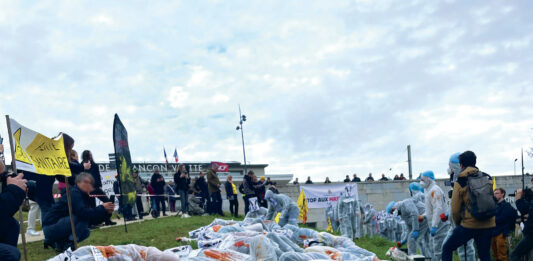 Le Dossier. Dermatose nodulaire contagieuse : la grande incompréhension Représentation de la Dermatose Nodulaire