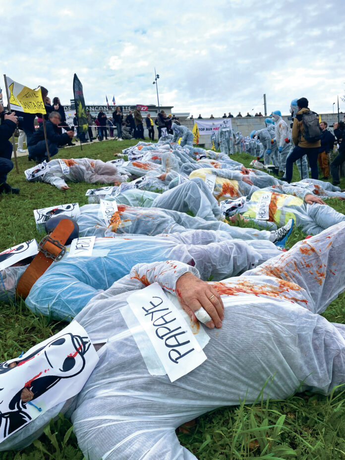 dermatose-nodulaire Représentation de la Dermatose Nodulaire