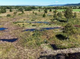 Haut-Doubs. Tourbières de Frasne-Bouverans : trois siècles d’extraction, 40 ans de protection Tourbières Frasne-Bouverans