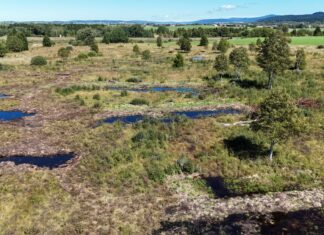 Tourbières Frasne-Bouverans
