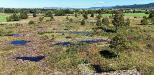 Tourbières Frasne-Bouverans