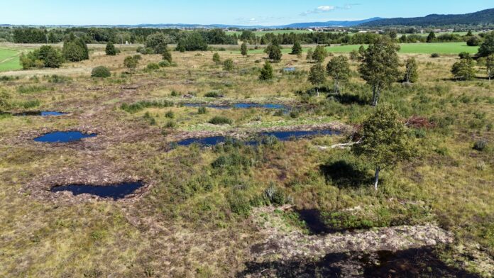 Tourbières Frasne-Bouverans Tourbières Frasne-Bouverans