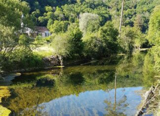 Baume-les-Dames. Le Cusancin : l’AAPPMA tire la sonnette d’alarme le Cusancin