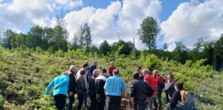 Épenoy. Une sortie guidée pour mieux comprendre la gestion de la forêt