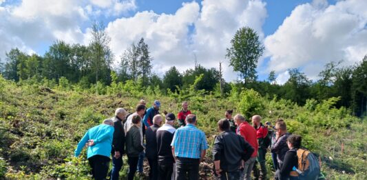 Épenoy. Une sortie guidée pour mieux comprendre la gestion de la forêt