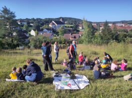 Loue-Lison. Des ateliers de sensibilisation à l’environnement proposés aux écoliers Ateliers en pleine nature