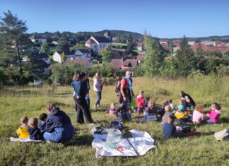 Loue-Lison. Des ateliers de sensibilisation à l’environnement proposés aux écoliers Ateliers en pleine nature