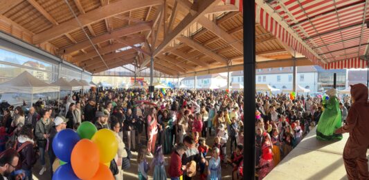 Pontarlier. Cowboys, pirates, dinosaures, fées, princesses… le carnaval revient le 21 février ! Carnaval de Pontarlier